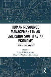 bokomslag Human Resource Management in an Emerging South Asian Economy