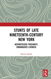bokomslag Stunts of Late Nineteenth-Century New York