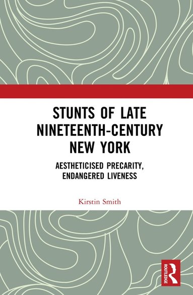 bokomslag Stunts of Late Nineteenth-Century New York