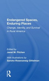 bokomslag Endangered Spaces, Enduring Places