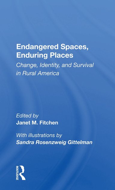 bokomslag Endangered Spaces, Enduring Places