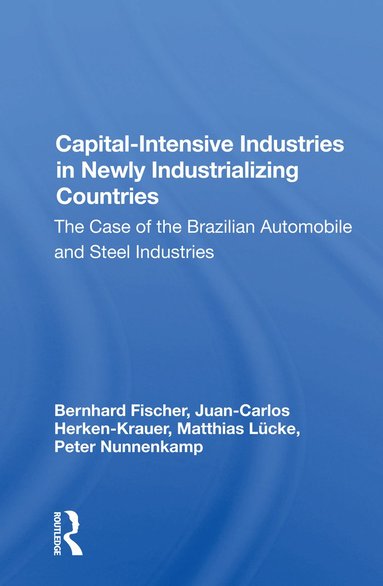 bokomslag Capital-intensive Industries In Newly Industrializing Countries