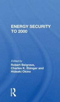 bokomslag Energy Security To 2000