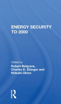 bokomslag Energy Security To 2000