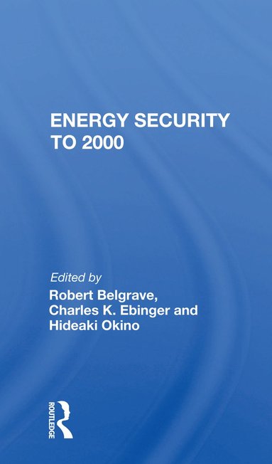 bokomslag Energy Security To 2000