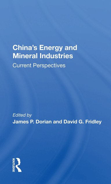 bokomslag China's Energy And Mineral Industries