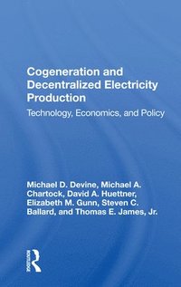 bokomslag Cogeneration And Decentralized Electricity Production