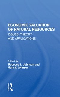 bokomslag Economic Valuation Of Natural Resources