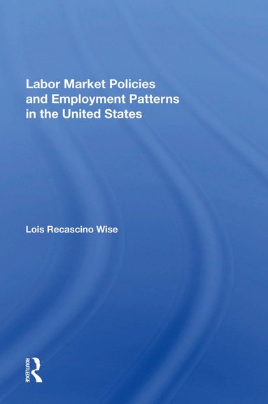 bokomslag Labor Market Policies And Employment Patterns In The United States