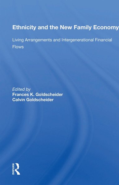 bokomslag Ethnicity and the New Family Economy