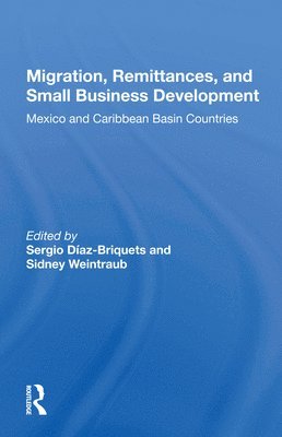 Sergio Diaz-Briquets - Migration, Remittances, And Small Business Development, Häftad