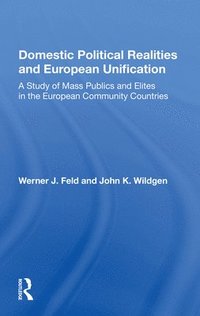bokomslag Domestic Political Realities and European Unification
