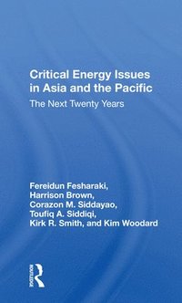 bokomslag Critical Energy Issues In Asia And The Pacific