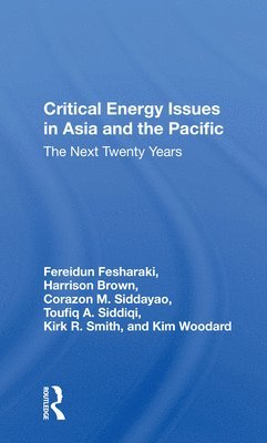 Critical Energy Issues In Asia And The Pacific 1