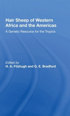 Hair Sheep Of Western Africa And The Americas