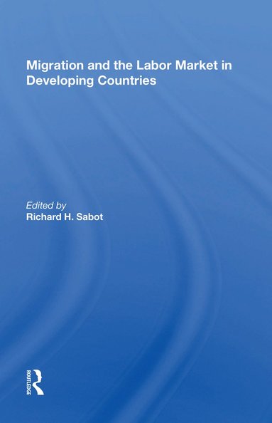 bokomslag Migration And The Labor Market In Developing Countries