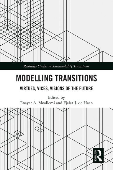 Enayat A. Moallemi, Fjalar J. de Haan - Modelling Transitions, Inbunden