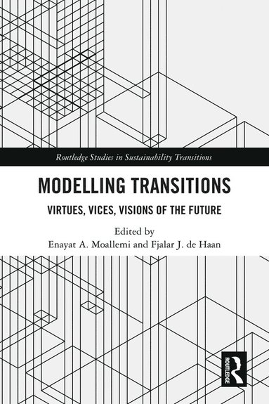 bokomslag Modelling Transitions