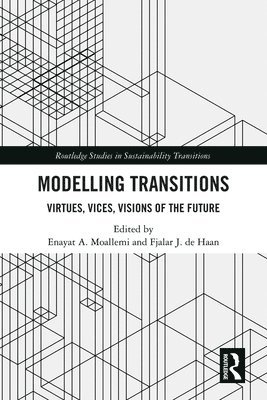 Enayat A. Moallemi, Fjalar J. de Haan - Modelling Transitions, Inbunden