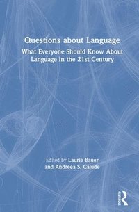bokomslag Questions About Language