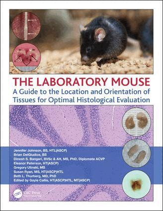 Jennifer Johnson, Brian DelGiudice, Dinesh Bangari, Eleanor Peterson, Gregory Ulinski, Susan Ryan, Beth Thurberg - Laboratory Mouse, Häftad
