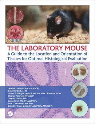 The Laboratory Mouse 1