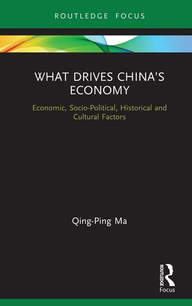 Qing-Ping Ma - What Drives China’s Economy, Inbunden