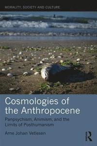 bokomslag Cosmologies of the Anthropocene
