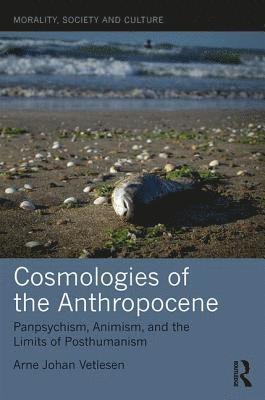 Cosmologies of the Anthropocene 1