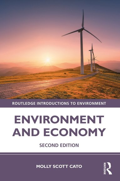 bokomslag Environment and Economy