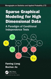 bokomslag Sparse Graphical Modeling for High Dimensional Data
