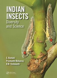 bokomslag Indian Insects