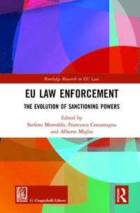 bokomslag EU Law Enforcement