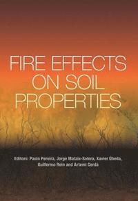 bokomslag Fire Effects on Soil Properties