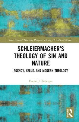 bokomslag Schleiermacher's Theology of Sin and Nature