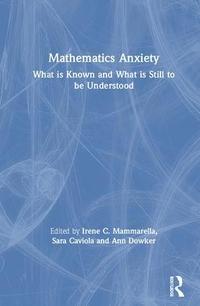 bokomslag Mathematics Anxiety
