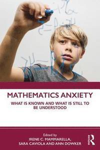bokomslag Mathematics Anxiety