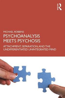 bokomslag Psychoanalysis Meets Psychosis