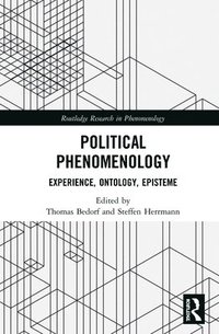 bokomslag Political Phenomenology