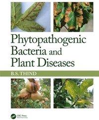 bokomslag Phytopathogenic Bacteria and Plant Diseases