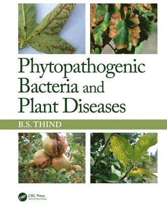 Phytopathogenic Bacteria and Plant Diseases 1