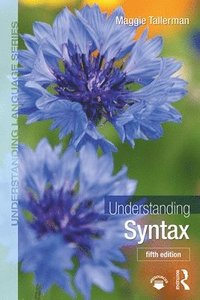 bokomslag Understanding Syntax