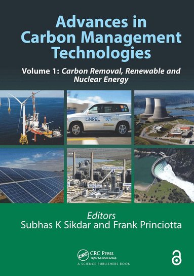 Subhas Sikdar, Frank Princiotta - Advances in Carbon Management Technologies, Inbunden