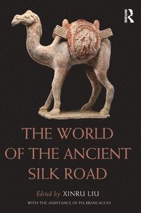 bokomslag The World of the Ancient Silk Road