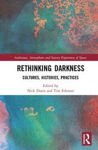 bokomslag Rethinking Darkness
