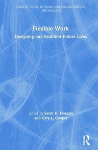 bokomslag Flexible Work