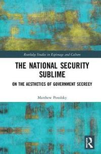 bokomslag The National Security Sublime