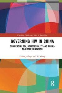 bokomslag Governing HIV in China