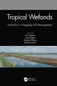 bokomslag Tropical Wetlands - Innovation in Mapping and Management