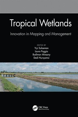 Yiyi Sulaeman, Laura Poggio, Budiman Minasny, Dedi Nursyamsi - Tropical Wetlands - Innovation in Mapping and Management, Inbunden